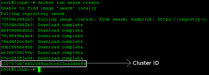 Creating Swarm Cluster