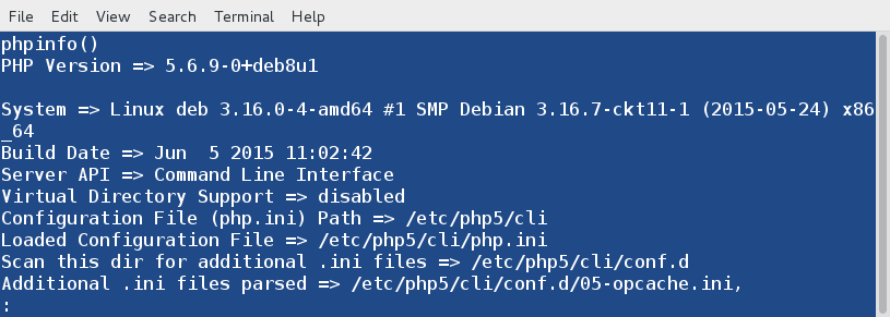 PHP Info Output