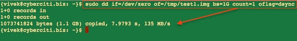 Fig.01: Ubuntu Linux Server with RAID10 and testing server throughput with dd