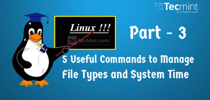 在 Linux 中管理文件类型和设置时间