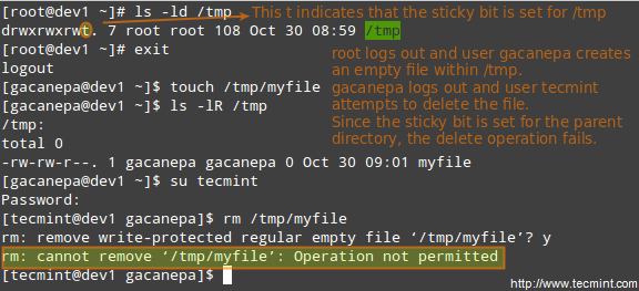 Add Stickybit in Linux