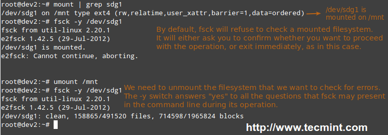 Scan Linux Filesystem for Errors