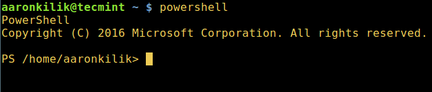 Start Powershell in Linux