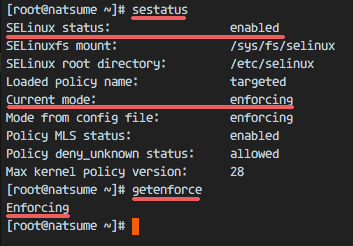 验证 SELinux 运行状态