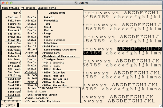 xterm linux terminal