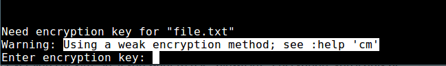 Weak Encryption on Vim File