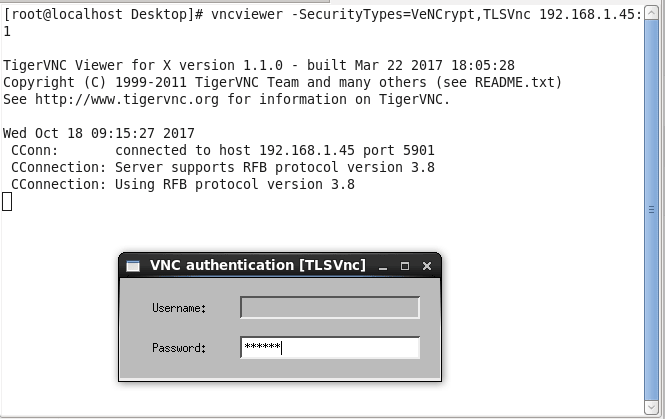secure vnc server