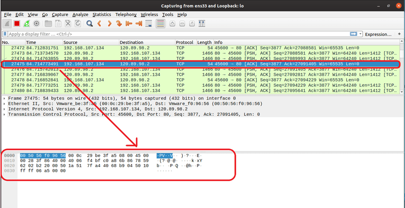 Check RAW data in the captured packets