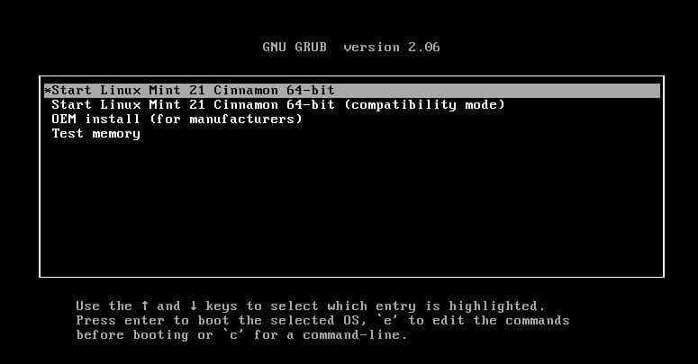 图 10：Linux Mint GRUB 菜单启动安装