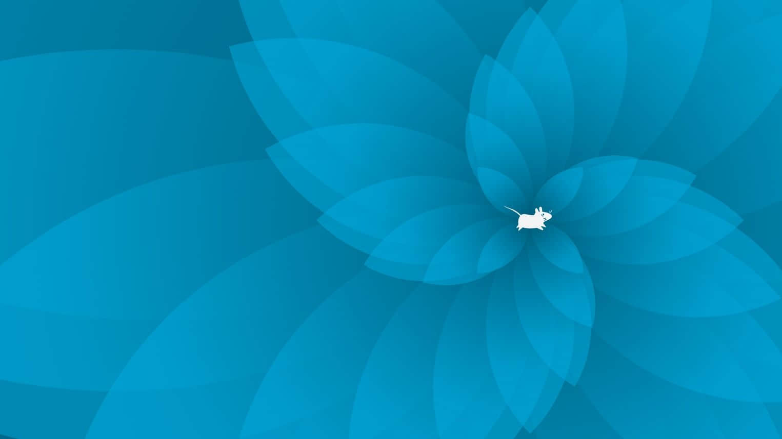 Xfce 4.18 新壁纸集