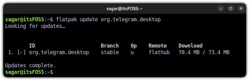 update specific package in flatpak