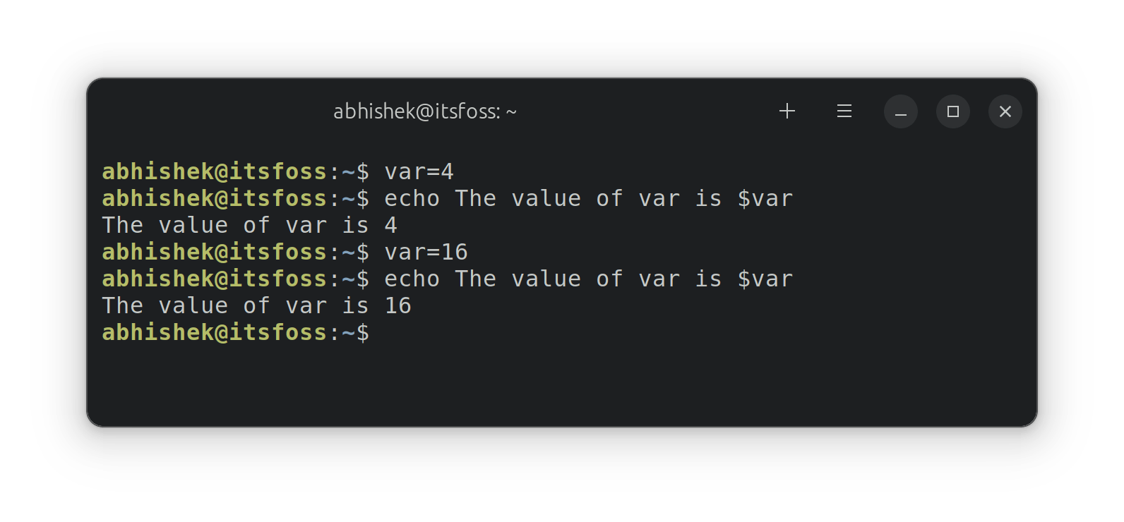 Using variables in shell