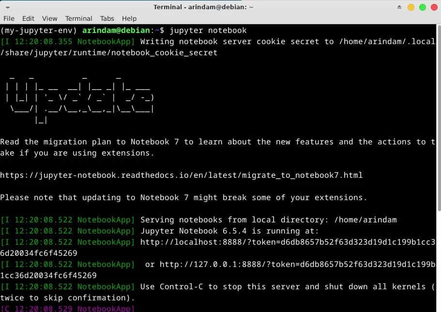 running jupyter notebook in Debian