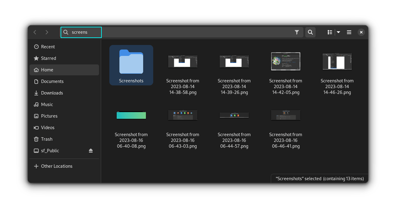 Nautilus 文件管理器的搜索模式